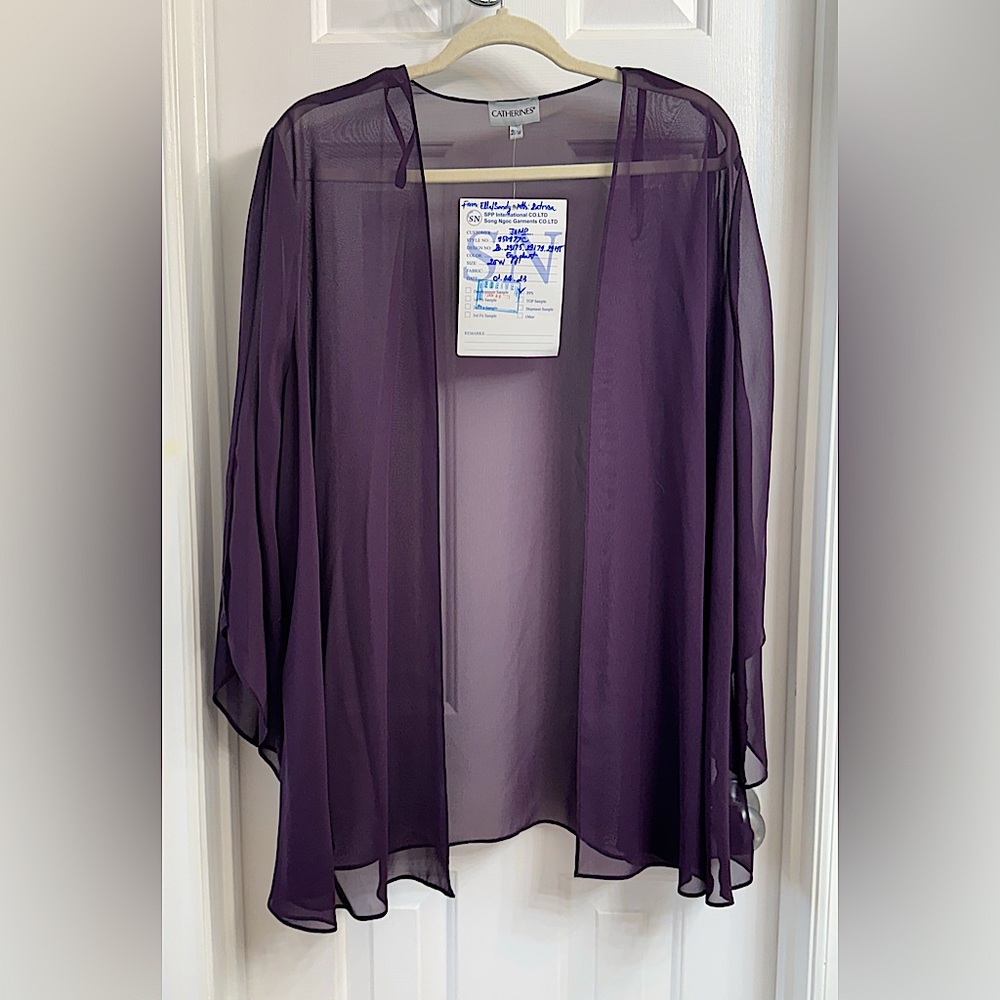 CATHERINES - Accolades Georgette Sheer Overlay in Eggplant Size 20
